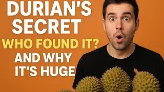 The Real Origin of Durian: Who Discovered It and Why It Became a Billion-Dollar Fruit?