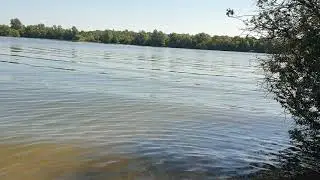 Lake Life!! June 2021 @Luxborough Lake, Essex
