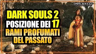 Posizione di Tutti i 17 Rami Profumati del Passato Guida Dark Souls 2