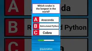USA Quiz Challenge: Test Your Knowledge With This Question #usaquiz #funquiz #brainteaser #usafacts