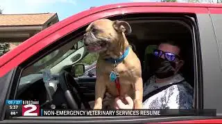 Non-Emergency Veterinary services resume