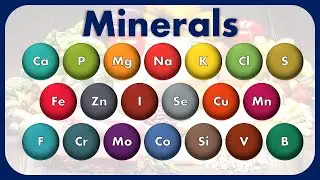 Every Mineral Nutrient Explained in 6 Minutes