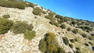 Relaxing Nature 4K