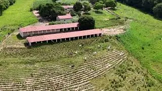 Beautiful Farm Drone Footage in 4K | Peaceful Aerial Views
