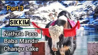 Sikkim Nathula Pass Baba Mandir Changu Lake Yak ride Indo china trade #sikkim #nathula #tsomgo