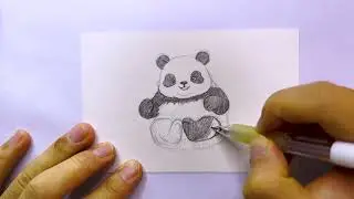 Draw panda Day 117｜pencil sketch