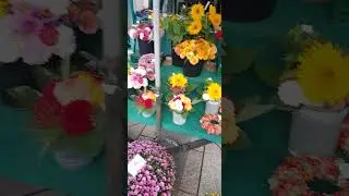 Базар по средам в Ной-Ульме. Маленький, но изысканный | Mittwochsmarkt in Neu-Ulm. Klein, aber fein 
