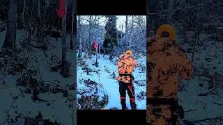 Охота на дикого кабана &ndash; очень красивый снимок. #hunting#chasse#challenge#wildboar#охотa#chase