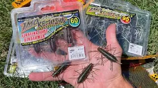 Surprise Pop-Up Tackle Shop In Austin Texas Had All The Best Lures