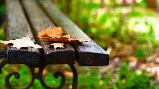 Jorma Juselius ~ Syysunelmia (Dream of Autumn)