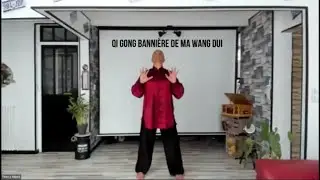 Qi Gong Bannière de Ma Wang Dui - Cours Zoom du 11 mai 2020  Ecole TAO Thierry Alibert 7ème Dan FFK
