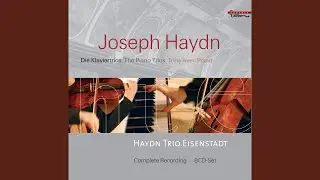 Keyboard Trio No. 24 in D Major, Hob.XV:24: I. Allegro