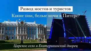 Развод мостов и туристов в Питере. Белые ли ночи? | Царское село, Екатерининский дворец