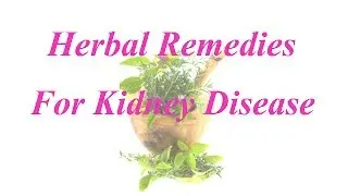 Herbal Remedies For Kidney Disease