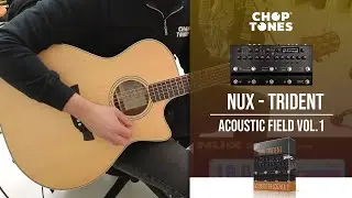 ACOUSTIC FIELDS vol1 for NUX Trident | Patches Playthrough