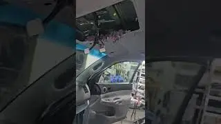 Toyota Tacoma rodent infestation