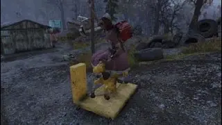 Fallout 76_20200114233312