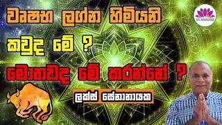 වෘෂභ ලග්න හමියනි: කවුද මේ? මොනවද මේ කරන්නේ?