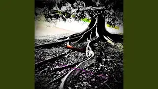 Rebirth In Royal Purple