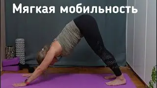 Мягкая тренировка для развития мобильности суставов 