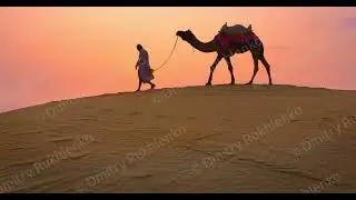 Indian cameleer (camel driver) bedouin with camel in sand dunes of Thar desert on sunset. Rajasthan