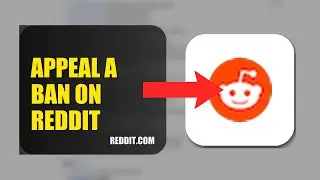 How To Appeal A Ban On Reddit 2025 (2026)