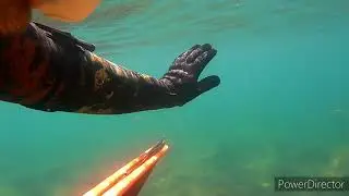 Spearfishing UK shallow water hunting