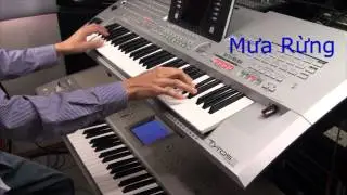 Hòa tấu Mưa Đêm Tỉnh Nhỏ và Mưa Rừng - Hoàng Lang