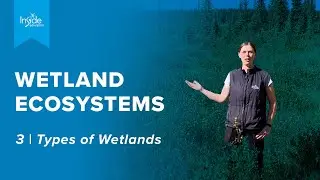 3 | Wetland Ecosystems | Types of Wetlands