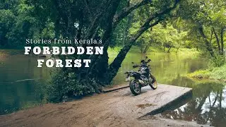 Living a Dream in the Deep Forest of Kerala - Kuttambuzha [SS Ep.13]