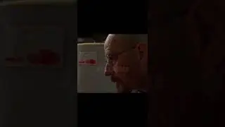Walter Vs The Fly