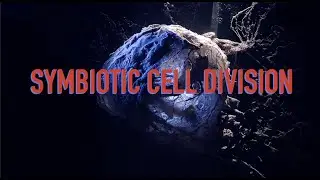 SYMBIOTIC CELL DIVISION - THE VISUAL EXPERIENCE