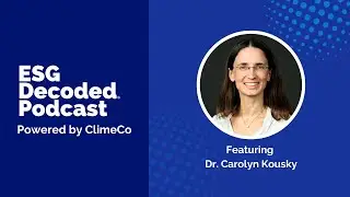 Adapting Insurance to Climate Risk ft. Dr. Carolyn Kousky