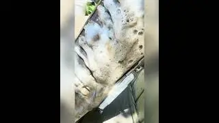 Mini split major tune up