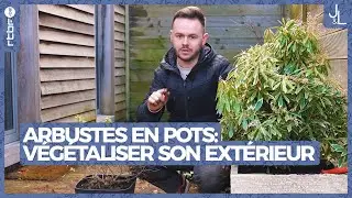 Arbustes en pot : comment v&eacute;g&eacute;taliser son espace ext&eacute;rieur ? | Jardins et Loisirs
