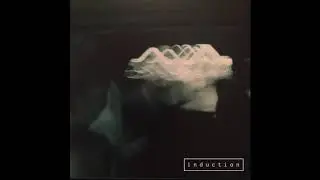 Induction - Extropy