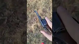 colt police positive in .32 s&w long