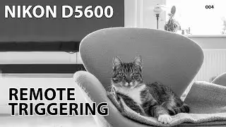 Nikon D5600: Two options for remote shutter operation
