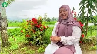 COVER SHOLAWAT WALISONGO (UJIAN PRAKTEK SKI-12 IPS 1) MAN 2 REMBANG