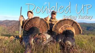Idaho Mountain Birds - an EPIC Turkey Hunt!