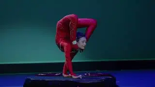 The Peking Acrobats