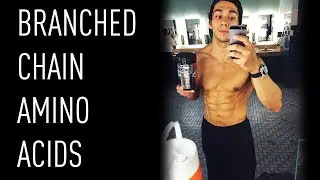 What You Should Know About BCAAs