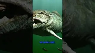 The deep ocean is SCARIER than space&hellip; double-tap if freaked out! Which one is worst?