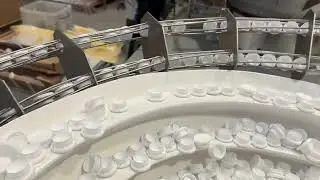 Bowl Feeder feeds and orientates Plastic Cover Caps | RNA Automation Ltd