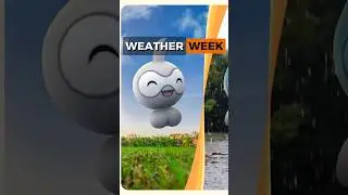 Weather week event details in Pok&eacute;mon GO!