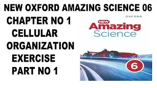 Grade 6 New Amazing Science Unit 1 Cellular Organization Exercise Solution Part 2 - Oxford - Science