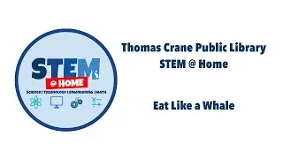 TCPL DIY STEM: Eat Like a Whale
