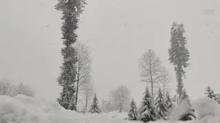 Snowfall in Manali || Manali Snowfall January 2020 || Best time to visit Manali for snow.