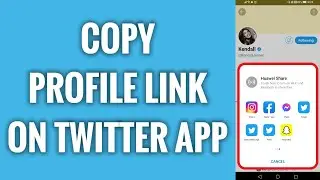 How To Copy Profile Link On Twitter App