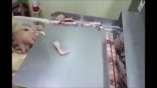 오징어동결블록절단기/Straw Type Cutting Machine for Squid Block